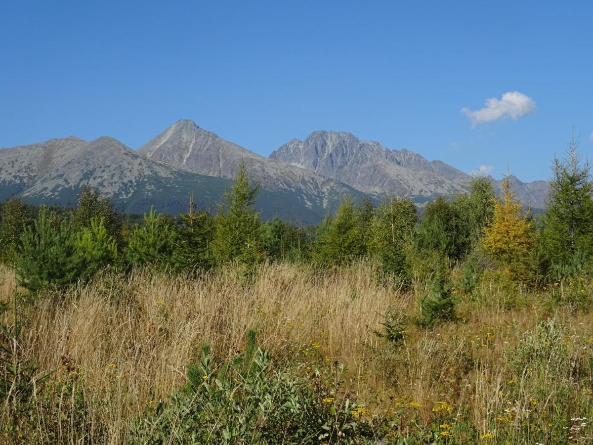 Rekreacny Dom Tyrkys Villa Poprad Dış mekan fotoğraf
