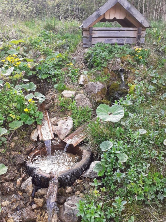 Rekreacny Dom Tyrkys Villa Poprad Dış mekan fotoğraf
